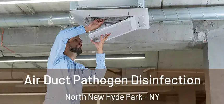  Air Duct Pathogen Disinfection North New Hyde Park - NY