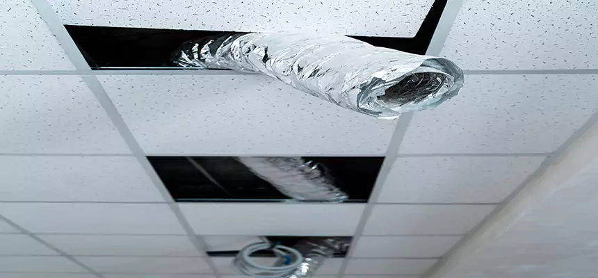 Affordable HVAC Sanitizing After Pest Removal in North New Hyde Park