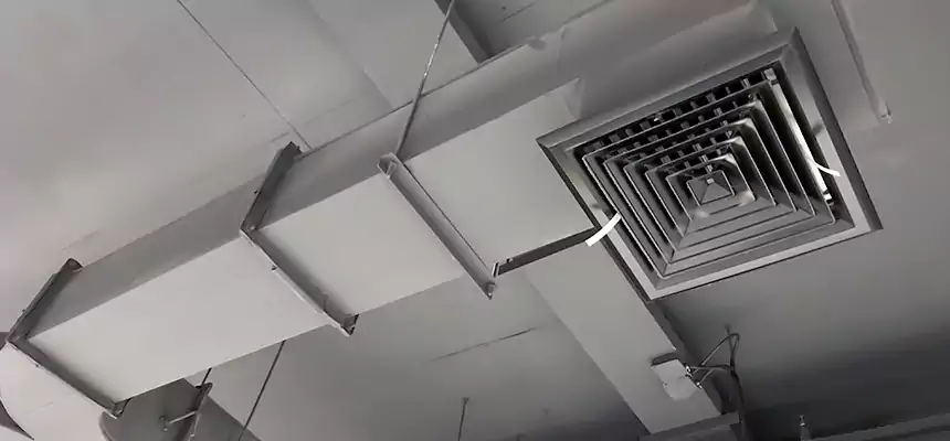 Restorative Allergy Relief Vent Cleaning – Coil, Blower & Housing Detail in North New Hyde Park