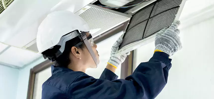 Our Mold & Mildew Removal from Air Ducts Services in North New Hyde Park, NY