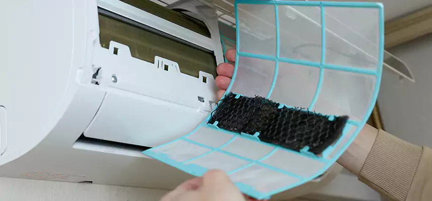 Gentle Ductwork Odor-Control Pet Dander Duct Cleaning in North New Hyde Park, NY