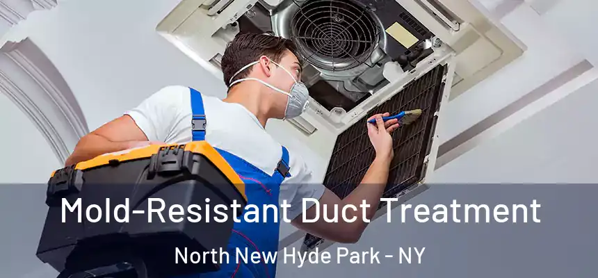  Mold-Resistant Duct Treatment North New Hyde Park - NY