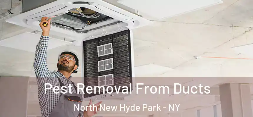  Pest Removal From Ducts North New Hyde Park - NY