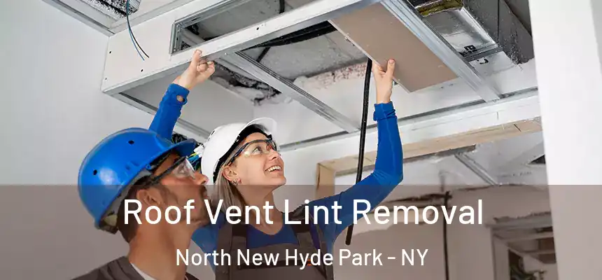  Roof Vent Lint Removal North New Hyde Park - NY