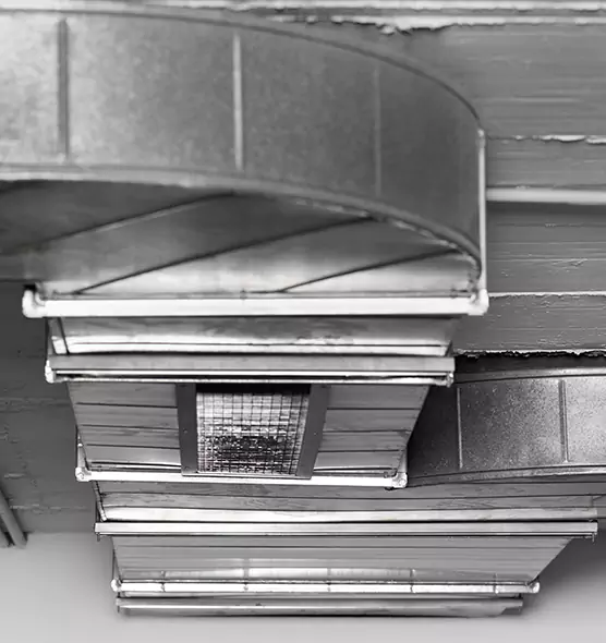 Professional Air Duct Pet Hair Removal in North New Hyde Park, NY