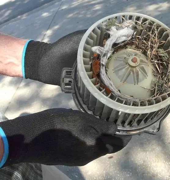 About Air Duct Rat Removal in North New Hyde Park, NY