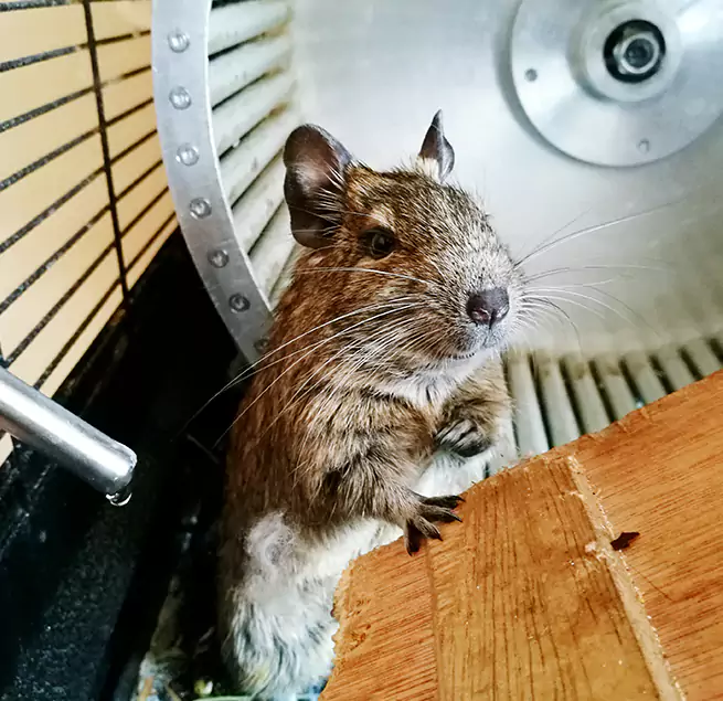 Why Homeowners & Businesses Trust Us North New Hyde Park, NY?